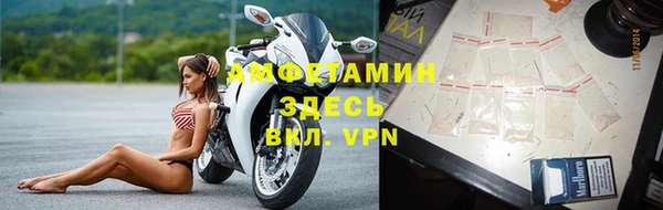 индика Беломорск
