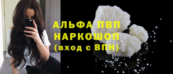 индика Беломорск