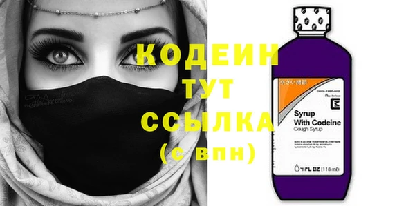 индика Беломорск