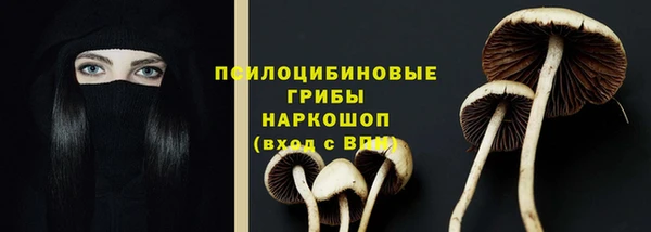 индика Беломорск