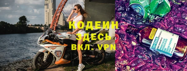 индика Беломорск