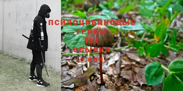 стафф Белокуриха