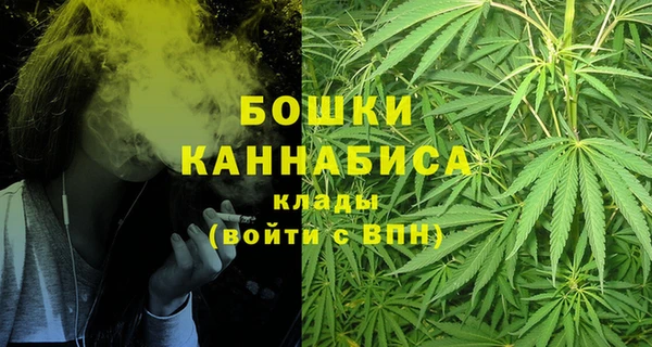 стафф Белокуриха