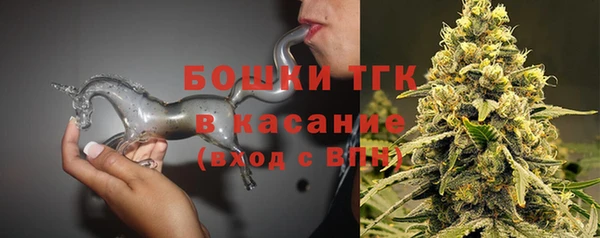 индика Беломорск