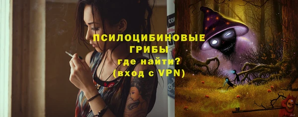 стафф Белокуриха