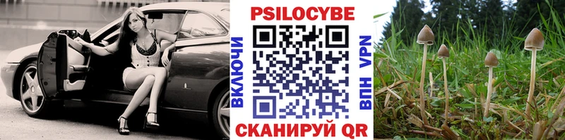 Псилоцибиновые грибы мухоморы  omg как войти  Уссурийск 